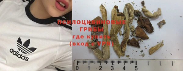 винт Михайлов