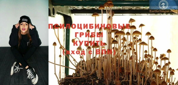 прущая мука Михайловск