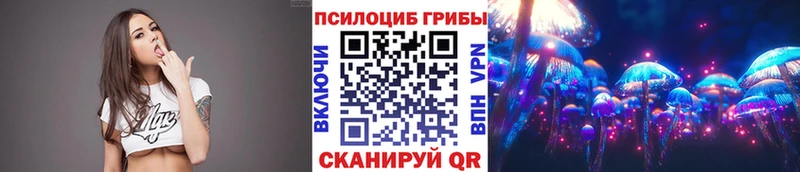 Галлюциногенные грибы мицелий  Дорогобуж 