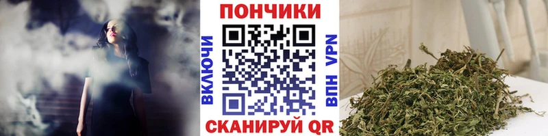 продажа наркотиков  Дорогобуж  Марихуана SATIVA & INDICA 